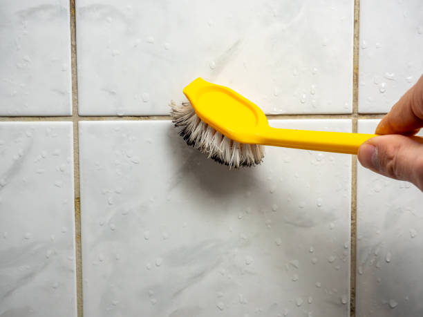 Best Mold Damage Repair  in Saylorville, IA