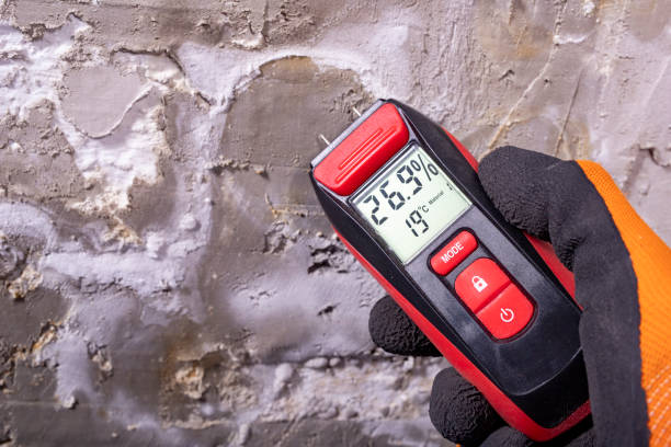 Best Fast Mold Removal  in Saylorville, IA