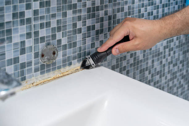 Best Best Mold Removal Companies  in Saylorville, IA