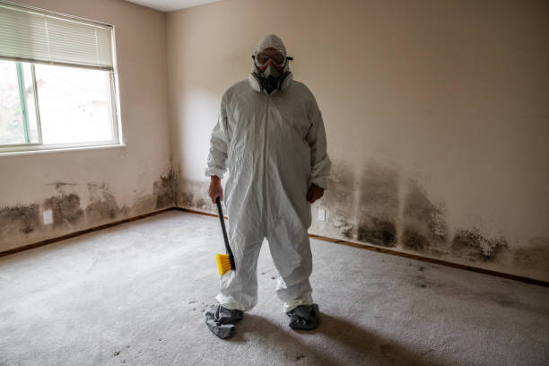 Best Attic Mold Removal  in Saylorville, IA